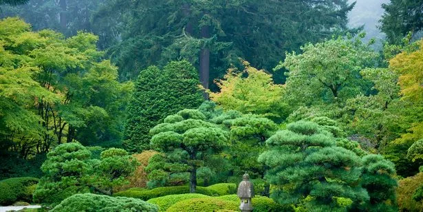 fotos-von-japanischen-garten-52_12-4 Fotos von japanischen Gärten