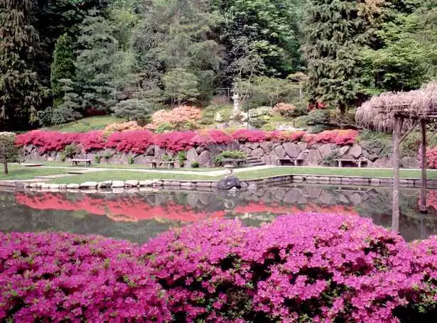 geschichte-der-japanischen-garten-38_3-11 Geschichte der japanischen Gärten