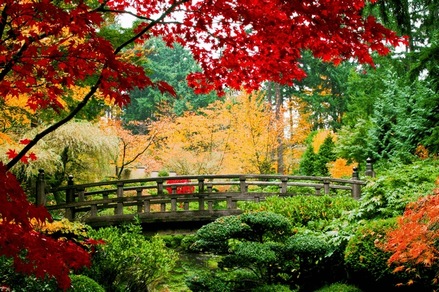 geschichte-der-japanischen-garten-38_3-12 Geschichte der japanischen Gärten