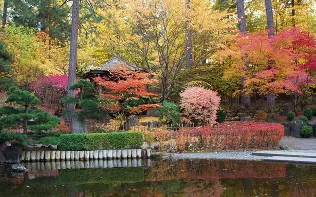 immergruner-japanischer-garten-85_10-3 Immergrüner japanischer Garten