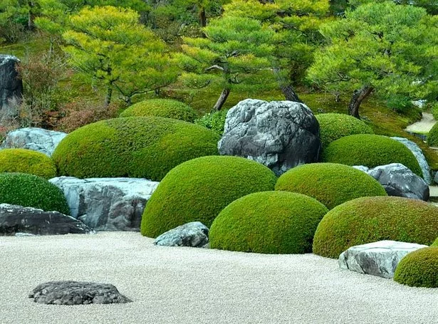 immergruner-japanischer-garten-85_12-5 Immergrüner japanischer Garten