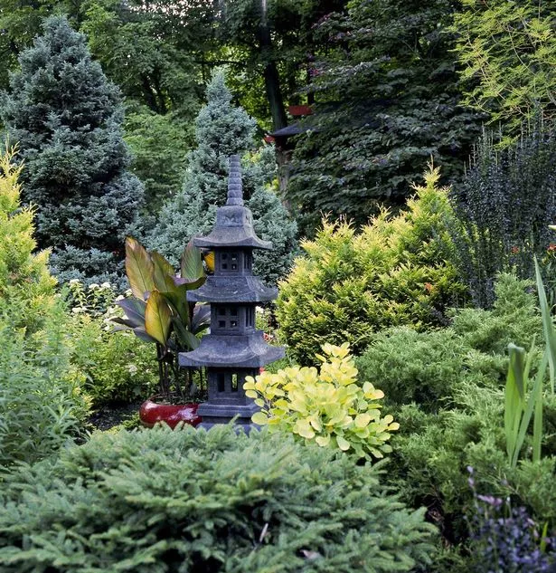 immergruner-japanischer-garten-85_6-16 Immergrüner japanischer Garten