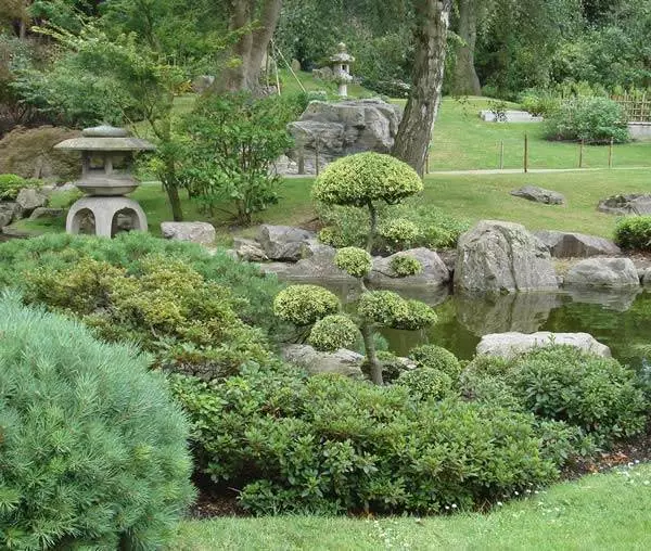 immergruner-japanischer-garten-85_7-17 Immergrüner japanischer Garten