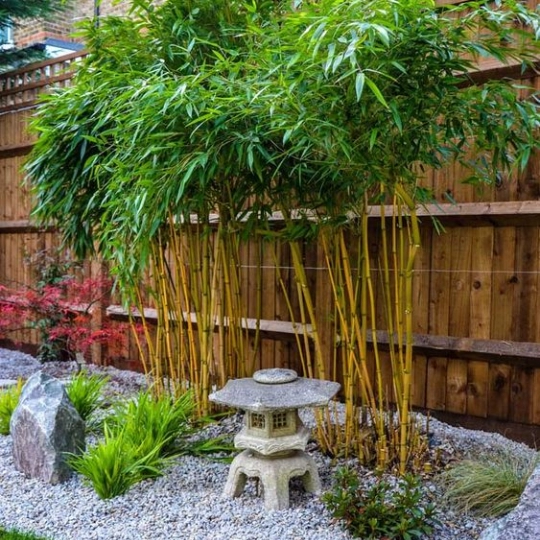 japanische-garten-kleine-raume-41-3 Japanische Gärten kleine Räume