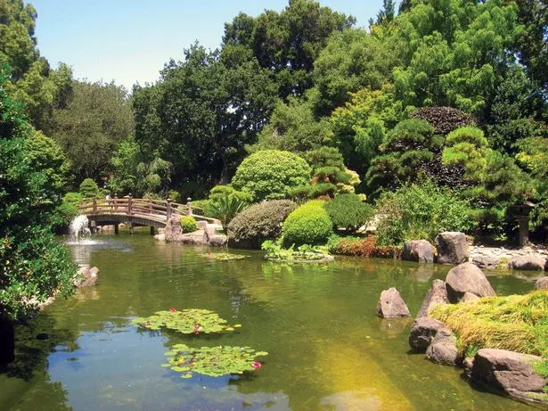 japanische-garten-merkmale-26_7-17 Japanische Gärten Merkmale