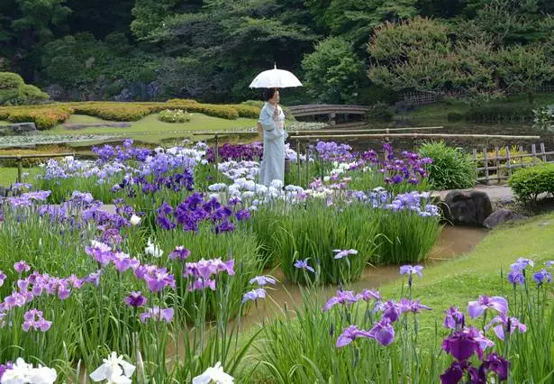 japanische-garten-58-1 Japanische Gärten