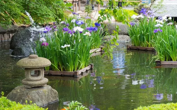 japanische-wassergarten-bilder-58-1 Japanische Wassergärten Bilder