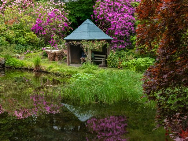 japanische-wassergarten-bilder-58_5-15 Japanische Wassergärten Bilder