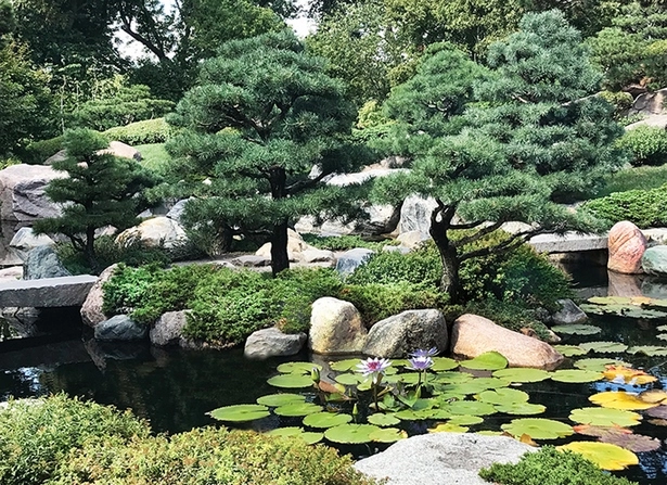 japanische-wassergarten-bilder-58_9-19 Japanische Wassergärten Bilder