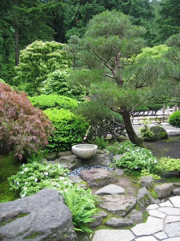 japanische-wassergartenpflanzen-07_15-7 Japanische Wassergartenpflanzen