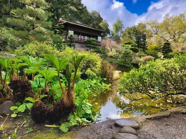 japanischer-garten-der-ruhe-33_14-8 Japanischer Garten der Ruhe