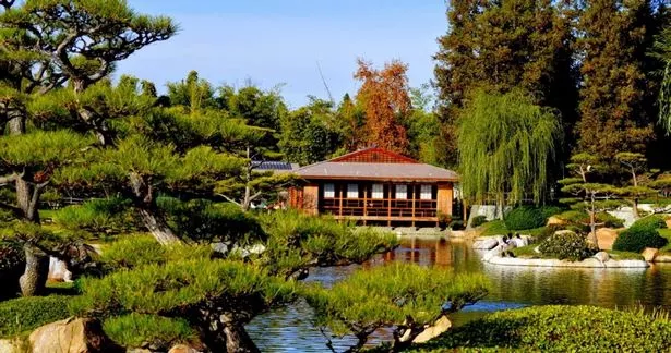 japanischer-garten-der-ruhe-33_2-11 Japanischer Garten der Ruhe