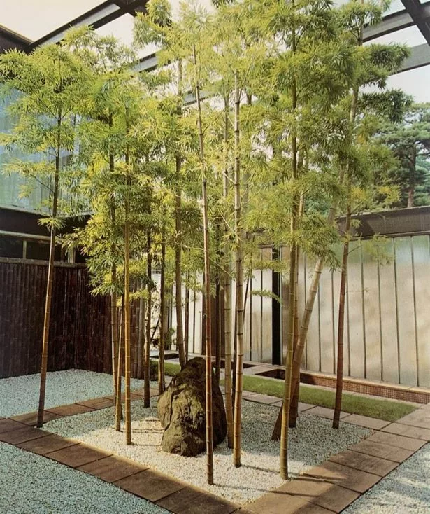 japanisches-bambusgartendesign-55_14-6 Japanisches Bambusgartendesign