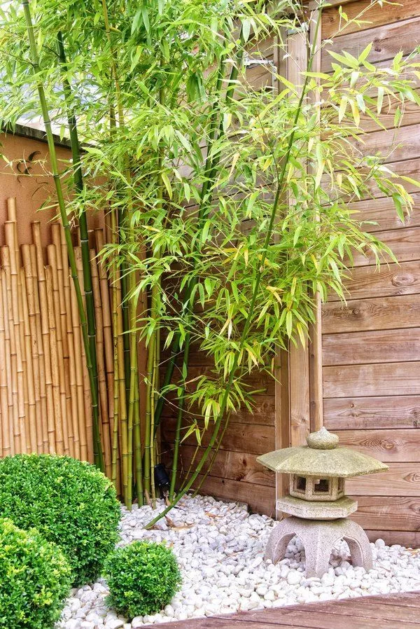 japanisches-bambusgartendesign-55_15-7 Japanisches Bambusgartendesign