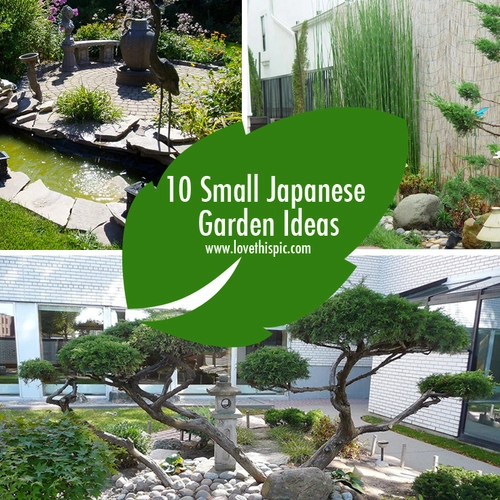 kleine-japanische-gartengestaltungsbilder-86-2 Kleine japanische Gartengestaltungsbilder