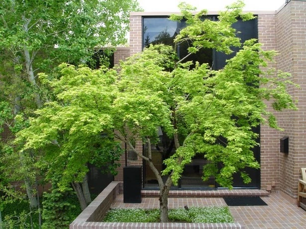 moderne-gartenbaume-86_3-14 Moderne Gartenbäume