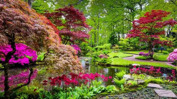 pflanzen-die-in-japanischen-garten-verwendet-werden-15-2 Pflanzen, die in japanischen Gärten verwendet werden