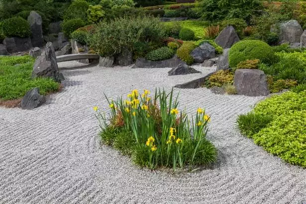 pflanzen-die-in-japanischen-garten-verwendet-werden-15_10-3 Pflanzen, die in japanischen Gärten verwendet werden