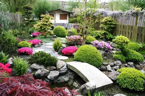pflanzen-die-in-japanischen-garten-verwendet-werden-15_14-7 Pflanzen, die in japanischen Gärten verwendet werden