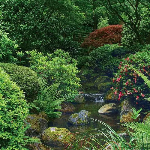pflanzen-die-in-japanischen-garten-verwendet-werden-15_15-8 Pflanzen, die in japanischen Gärten verwendet werden