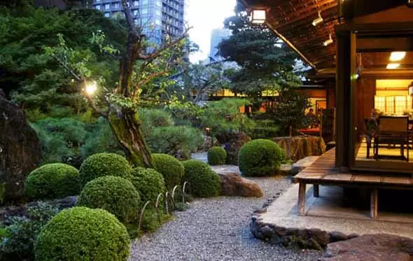 pflanzen-die-in-japanischen-garten-verwendet-werden-15_7-18 Pflanzen, die in japanischen Gärten verwendet werden