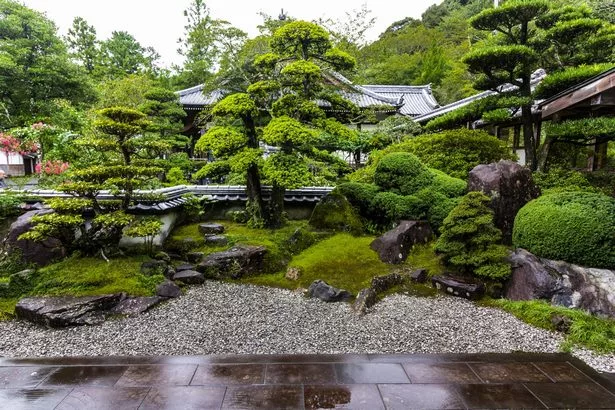 pflanzen-die-in-japanischen-garten-verwendet-werden-15_8-19 Pflanzen, die in japanischen Gärten verwendet werden