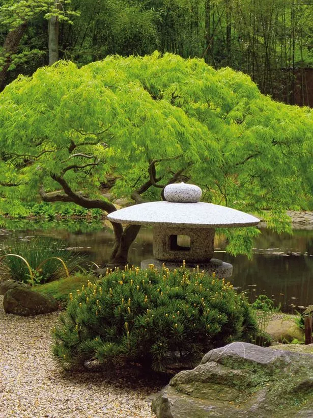pflanzen-fur-eine-japanische-gartengestaltung-79-1 Pflanzen für eine japanische Gartengestaltung