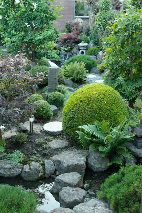 pflanzen-fur-eine-japanische-gartengestaltung-79_4-15 Pflanzen für eine japanische Gartengestaltung