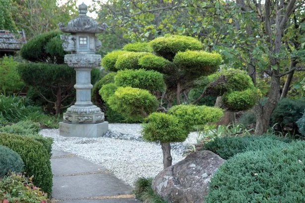 pflanzen-fur-einen-garten-im-japanischen-stil-58_12-5 Pflanzen für einen Garten im japanischen Stil