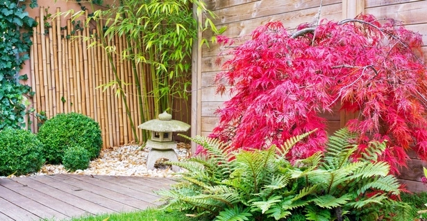 pflanzen-fur-einen-garten-im-japanischen-stil-58_9-18 Pflanzen für einen Garten im japanischen Stil