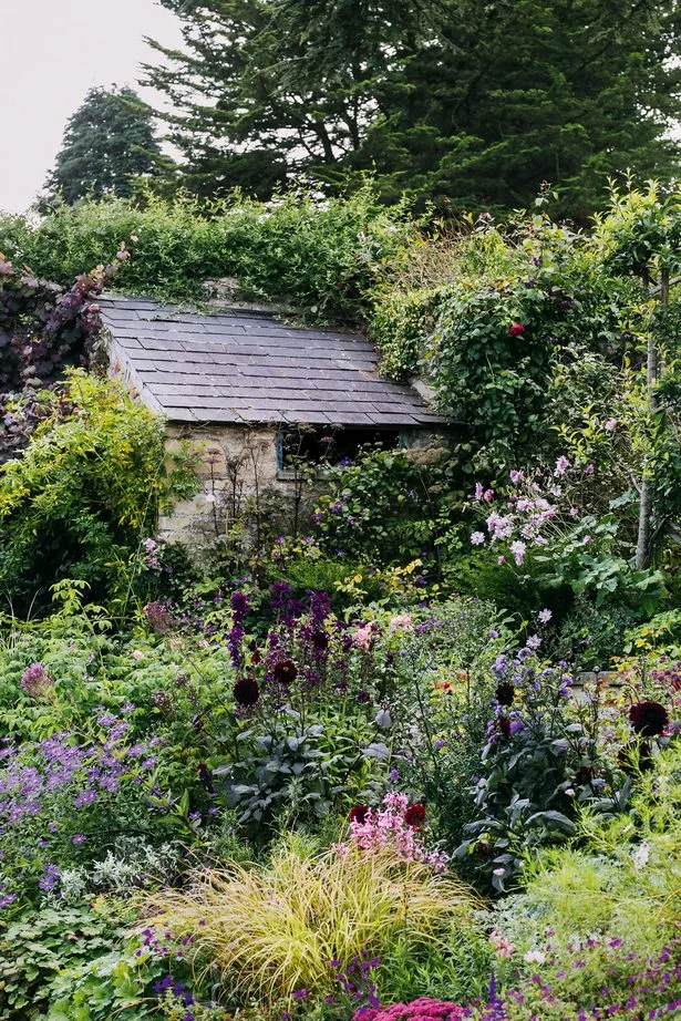 so-erstellen-sie-einen-englischen-cottage-garten-83_18-10 So erstellen Sie einen englischen Cottage-Garten