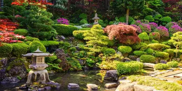 wie-man-einen-japanischen-garten-in-ihrem-hinterhof-macht-65_15-6 Wie man einen japanischen Garten in Ihrem Hinterhof macht