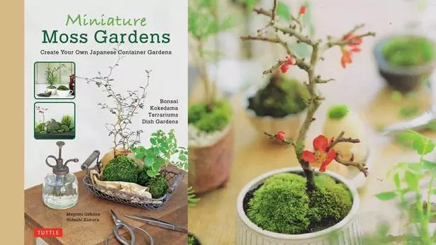 wie-man-einen-japanischen-miniaturgarten-macht-20_10-4 Wie man einen japanischen Miniaturgarten macht