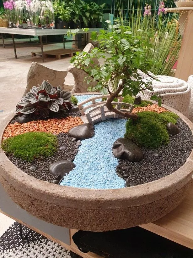 wie-man-einen-japanischen-miniaturgarten-macht-20_5-14 Wie man einen japanischen Miniaturgarten macht