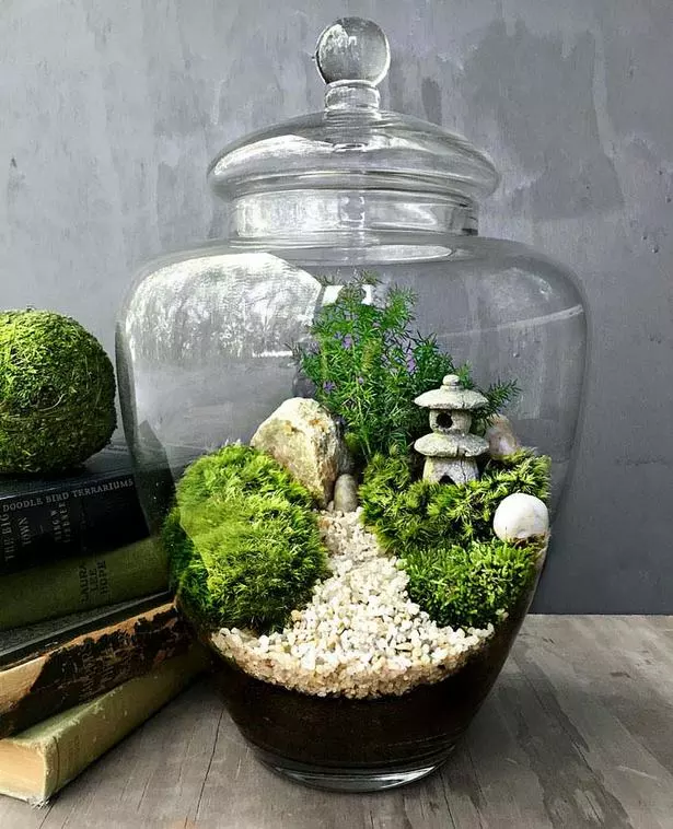 wie-man-einen-japanischen-miniaturgarten-macht-20_7-16 Wie man einen japanischen Miniaturgarten macht