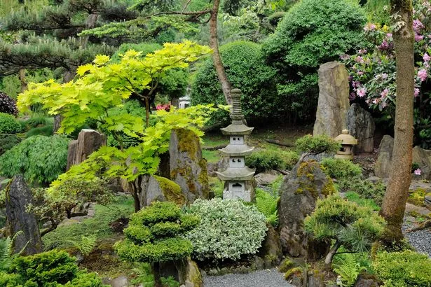 wie-man-einen-japanischen-steingarten-baut-74_12-5 Wie man einen japanischen Steingarten baut
