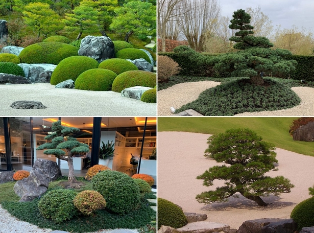 immergruner-japanischer-garten-001 Immergrüner japanischer Garten