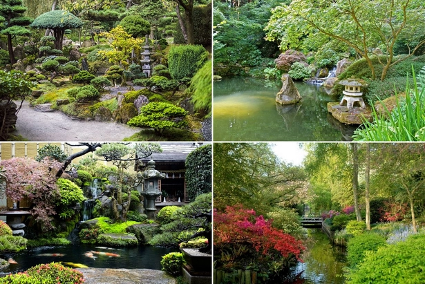 japanische-wassergartenpflanzen-001 Japanische Wassergartenpflanzen
