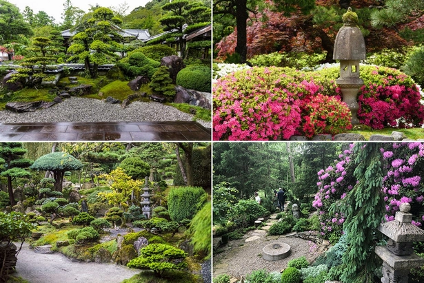 pflanzen-fur-japanische-garten-001 Pflanzen für japanische Gärten