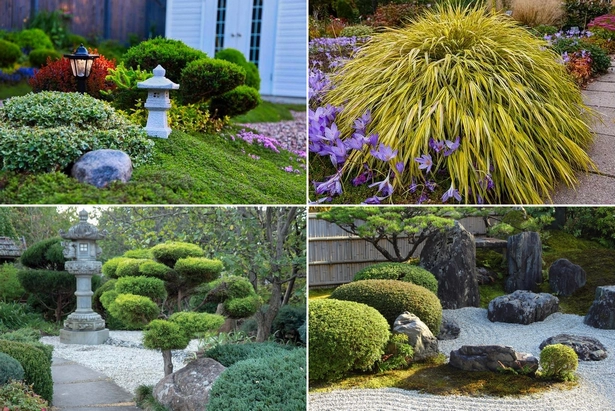 pflanzen-im-japanischen-stil-001 Pflanzen im japanischen Stil