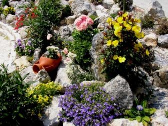 Anlegen eines steingartens