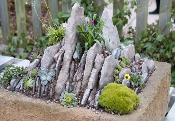 Anlegen eines steingartens