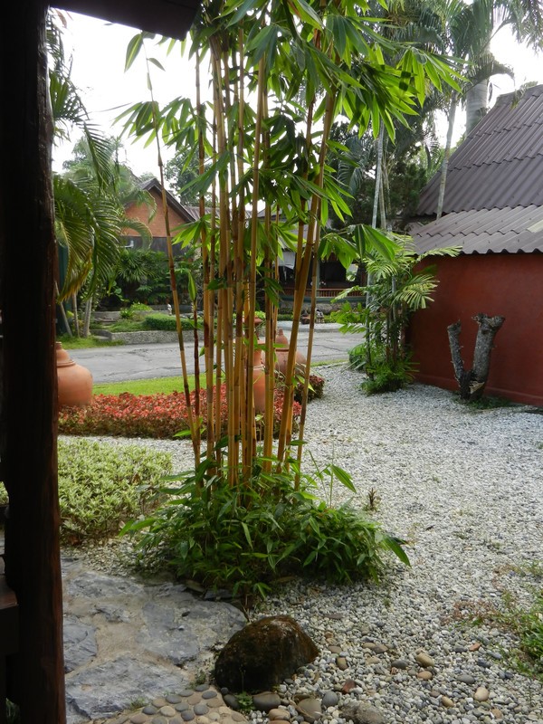 garten-mit-bambus-10_2 Garten mit bambus