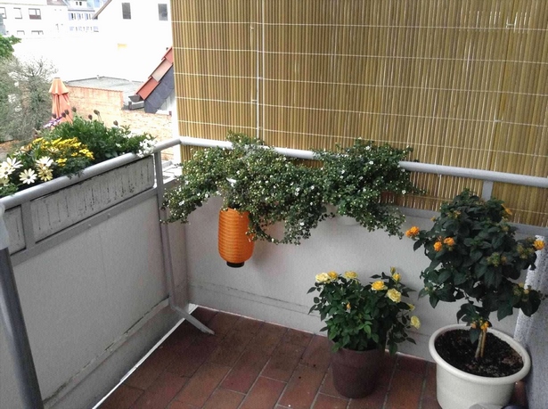 sichtschutz-balkon-selber-bauen-25_4 Sichtschutz balkon selber bauen