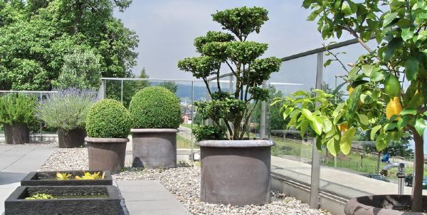 terrassengestaltung-mit-kubelpflanzen-74_13 Terrassengestaltung mit kübelpflanzen