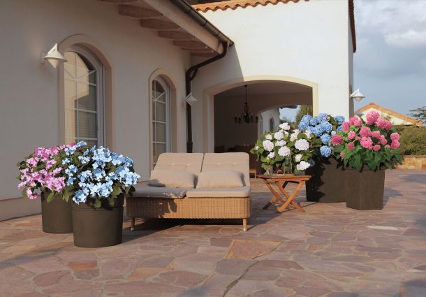 terrassengestaltung-mit-kubelpflanzen-74_14 Terrassengestaltung mit kübelpflanzen