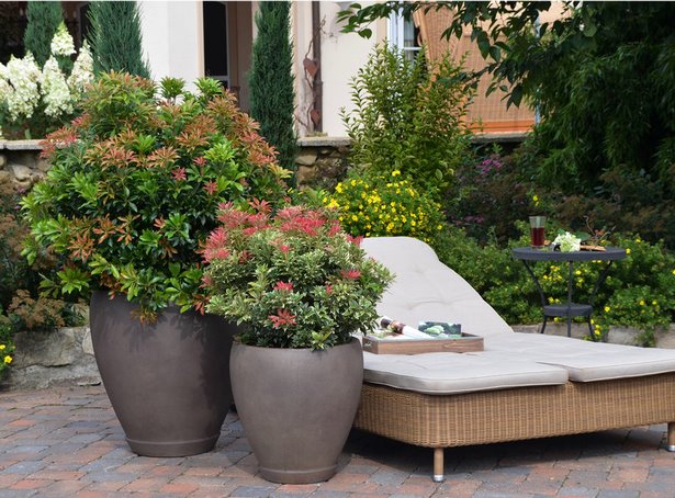 terrassengestaltung-mit-kubelpflanzen-74_6 Terrassengestaltung mit kübelpflanzen
