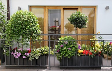 terrassengestaltung-mit-pflanzen-41_18 Terrassengestaltung mit pflanzen