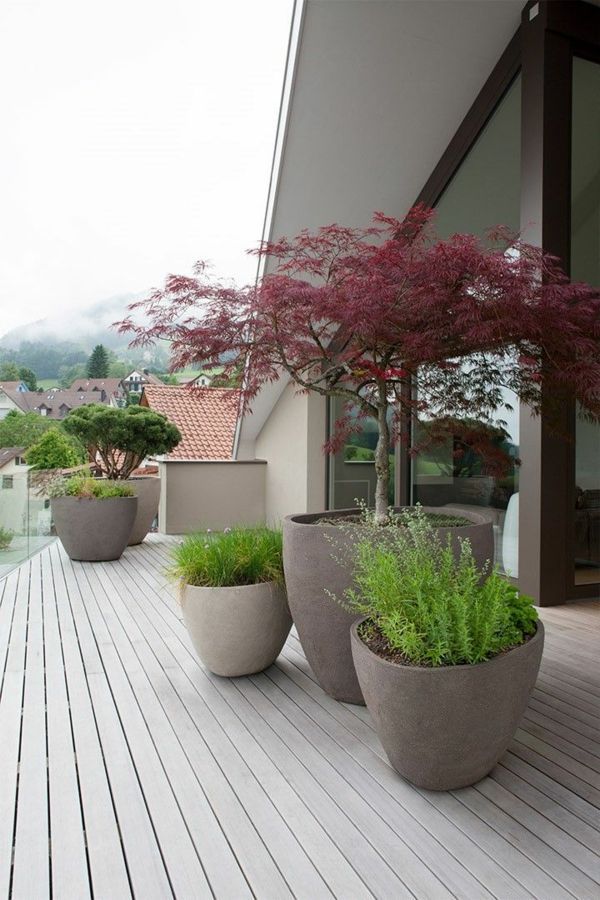 terrassengestaltung-pflanzen-56 Terrassengestaltung pflanzen