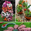 Garten Blumenbeet Design-Ideen